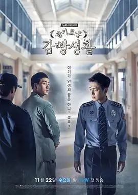 雾港迷局 热播电视剧全集在线观看